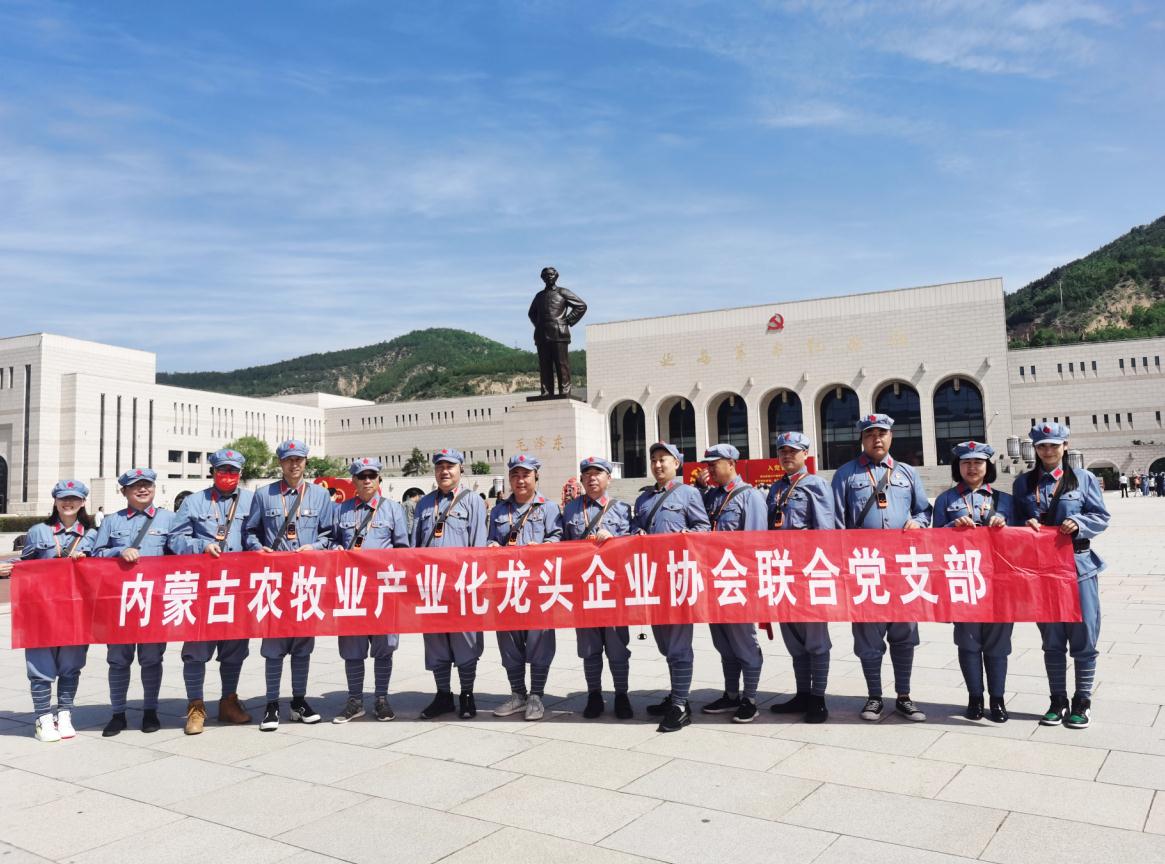 內(nèi)蒙古農(nóng)牧業(yè)產(chǎn)業(yè)化龍頭企業(yè)協(xié)會聯(lián)合黨支部赴延安革命圣地開展“學(xué)黨史、感黨恩、跟黨走”主題黨日活動