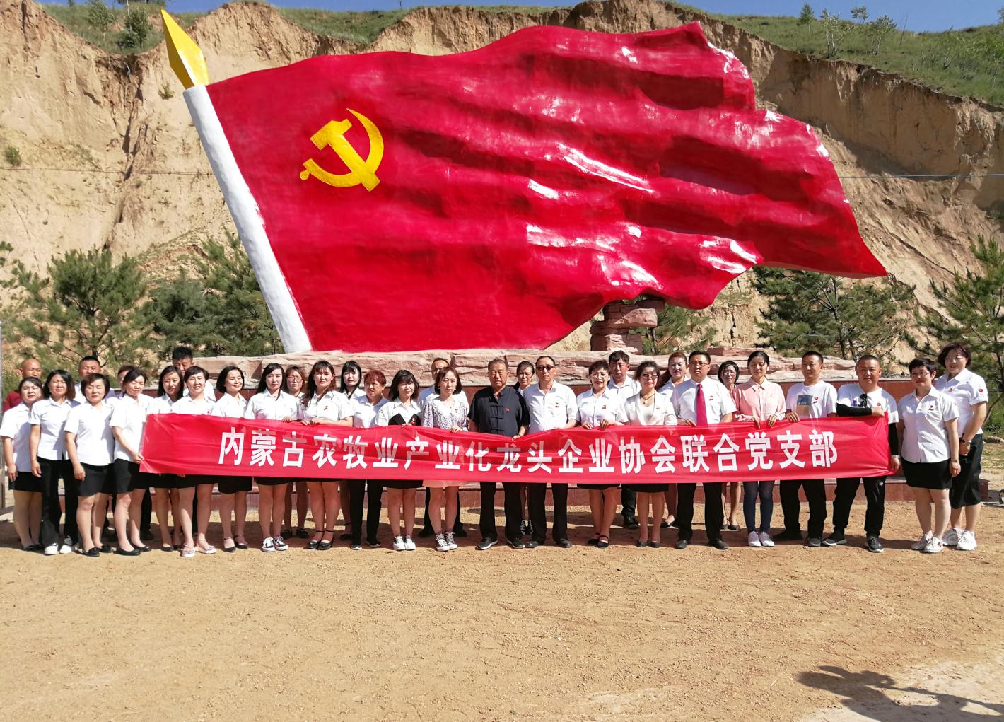 內(nèi)蒙古農(nóng)牧業(yè)產(chǎn)業(yè)化龍頭企業(yè)協(xié)會走進石人灣村開展“辦實事、解難題，送溫暖，傳黨恩”公益活動